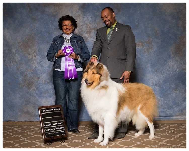 Afterhours collies best sale